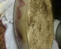 Escondidinho de calabresa