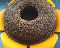 Bolo de chocolate (super fácil e rápido)