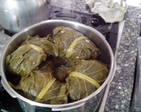 Charuto de couve na panela de pressão