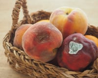 Frutas apodrecendo rápido demais? O culpado costuma ser este vegetal comum que você guarda na geladeira