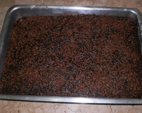 Bolo de chocolate com calda de chocolate