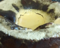 Bolo de laranja com cobertura de laranja.