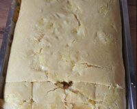 Pão de assadeira rápido sem sovar no liquidificador