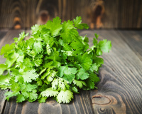 Confira 6 benefícios do coentro para a saúde