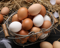 Poucos sabem qual é a única diferença entre ovos brancos e marrons