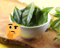 Ora-pro-nóbis: planta é mesmo uma proteína? Descubra poderes desse macronutriente