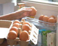 Não guarde os ovos na porta da geladeira! Descubra o jeito certo de armazenar o alimento