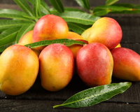 Tipos de manga: saiba mais sobre os mais comuns no Brasil