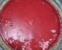 Torta gelada de morango