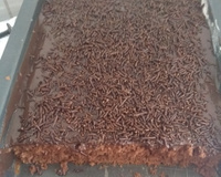 Bolo de chocolate de liqüidificador