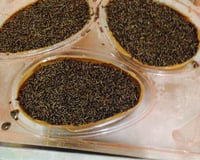 Ovo de Páscoa trufado com brigadeiro caseiro