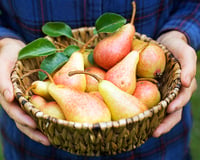 Raúl Cárdaba, vendedor de frutas: “Para encontrar uma boa pera, procure aquelas que são mais compridas do que largas, porque tendem a ser mais doces.”