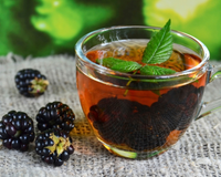 Chá de folha de amora é perfeito para te esquentar nesse frio e ainda é repleto de benefícios para a sua saúde