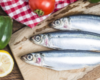 Saiba mais sobre a sardinha e aprenda 3 receitas