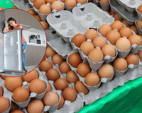 O ovo não é guardado nas geladeiras dos mercados, mas deve ser na sua casa e aqui está o motivo!