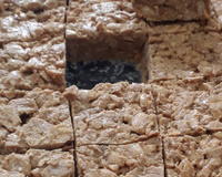 Pé de moleque de leite condensado