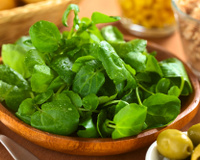 Agrião: conheça os benefícios e as melhores receitas