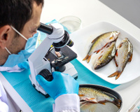 Pesquisadores descobriram algo muito preocupante em um terço dos peixes do Pacífico que examinaram