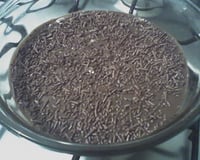 Mousse de brigadeiro