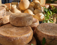 O queijo italiano considerado o mais perigoso do mundo: é uma iguaria para alguns, mas foi proibido em seu país de origem pela presença de um "ingrediente" polêmico
