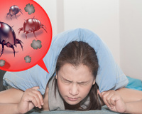 Adeus ácaros e aranhas na cama: o truque caseiro de um especialista em limpeza doméstica é a solução para acabar com esses bichos