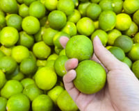 Como saber se um limão tem bastante suco? Aqui estão algumas dicas para escolher limões antes de comprá-los – você pode observar a diferença sem precisar cortá-los