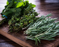 Temperos para cultivar em casa: saiba como e quais os tipos