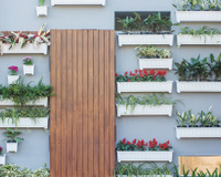 Jardim vertical: confira como fazer um na sua casa