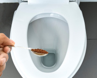 Basta uma colher: por que cada vez mais pessoas estão colocando borra de café no vaso sanitário