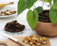 A casca de banana tem mais nutrientes do que você pensa e fica uma delícia nas receitas: descubra agora como usá-la