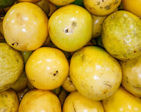 Maracujá de casca lisa ou enrugada? O segredo dos feirantes para escolher a fruta no ponto certo
