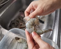 Camarão limpo em minutos sem sofrer: conheça o método definitivo e muito fácil!