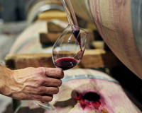 “Invista em cerejas, pistaches, crie gado”: ​​em uma província, produtores estão abandonando o vinho e mudando de ramo de atividade