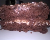 Bolo de chocolate feito com cacau