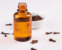 O segredo da vovó: aromatizador caseiro com cravo e citronela que também afasta mosquitos da cozinha