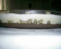 Pavê de Bis bicolor