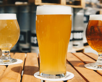 Estudo descobre novo benefício da cerveja surpreendente para a saúde!