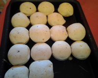 Pão de queijo