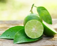 Alimentos que ajudam a queimar gordura: veja quais consumir