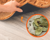 Nunca entendi por que minha avó colocava folha de louro debaixo do tapete até eu testar em casa