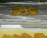 Sobremesa fácil de pêssego