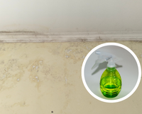 Chega de mofo na parede! Truque com água é muito fácil e elimina o problema