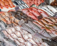 José María Sánchez, dono de uma peixaria: “Metade do peixe é vendido no supermercado, e não porque seja melhor.”