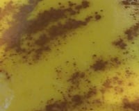 Bolo de milho (bagaço) e curau da vovó Rose