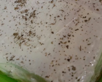 Bolo salgado de pão de forma