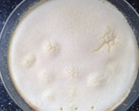 Torta de leite condensado e goiabada