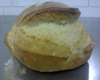 Panhoca com  queijo gorgonzola