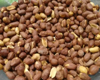 Amendoim Salgado de Micro-ondas