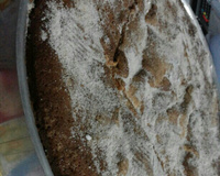 Bolo de fubá com banana