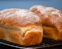 Coloque todos os ingredientes em uma tigela, amasse, espere e leve ao forno: fazer pão pode ser muito fácil!